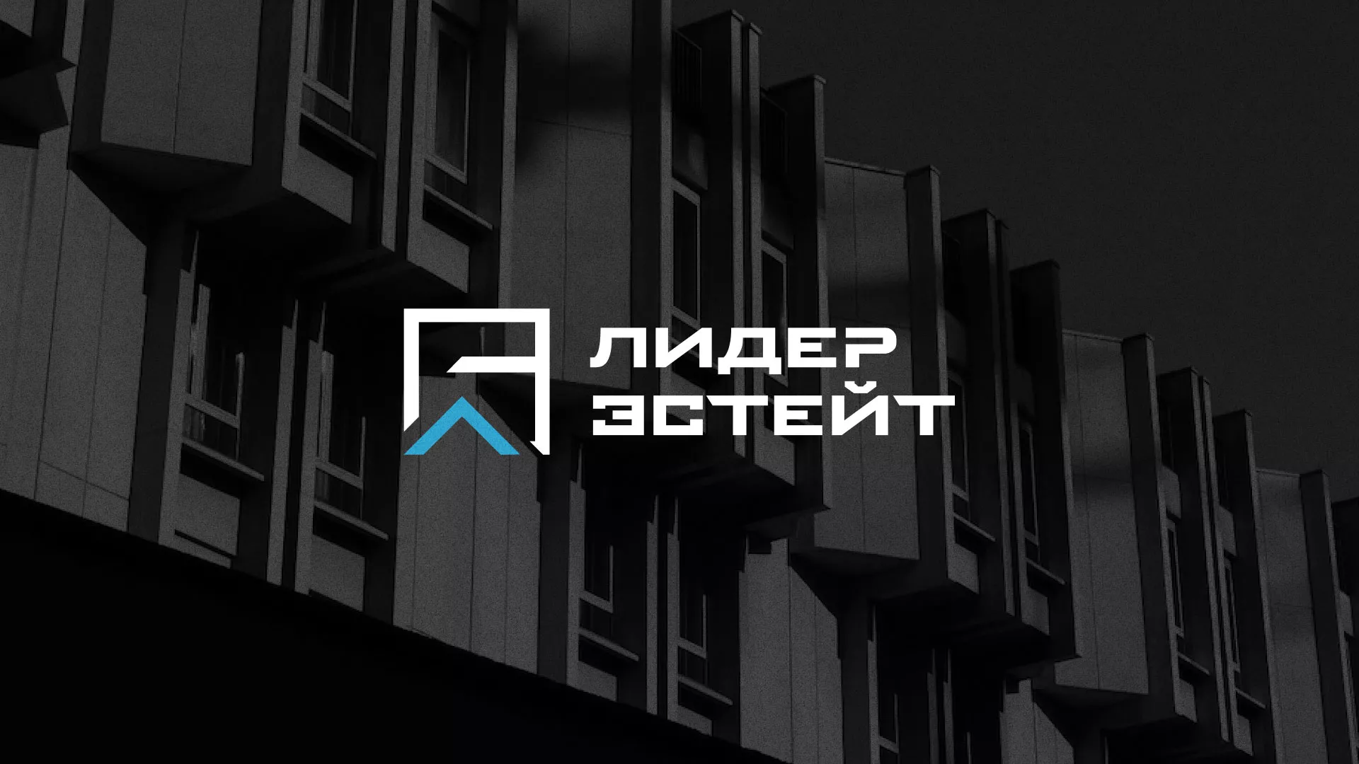 Разработка логотипа агентства недвижимости «Лидер Эстейт» в Княгинино